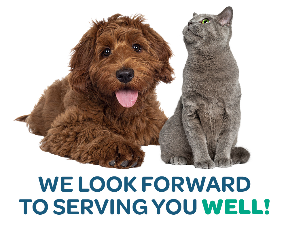 Coming Soon | Livewell Animal Hospital Riverview