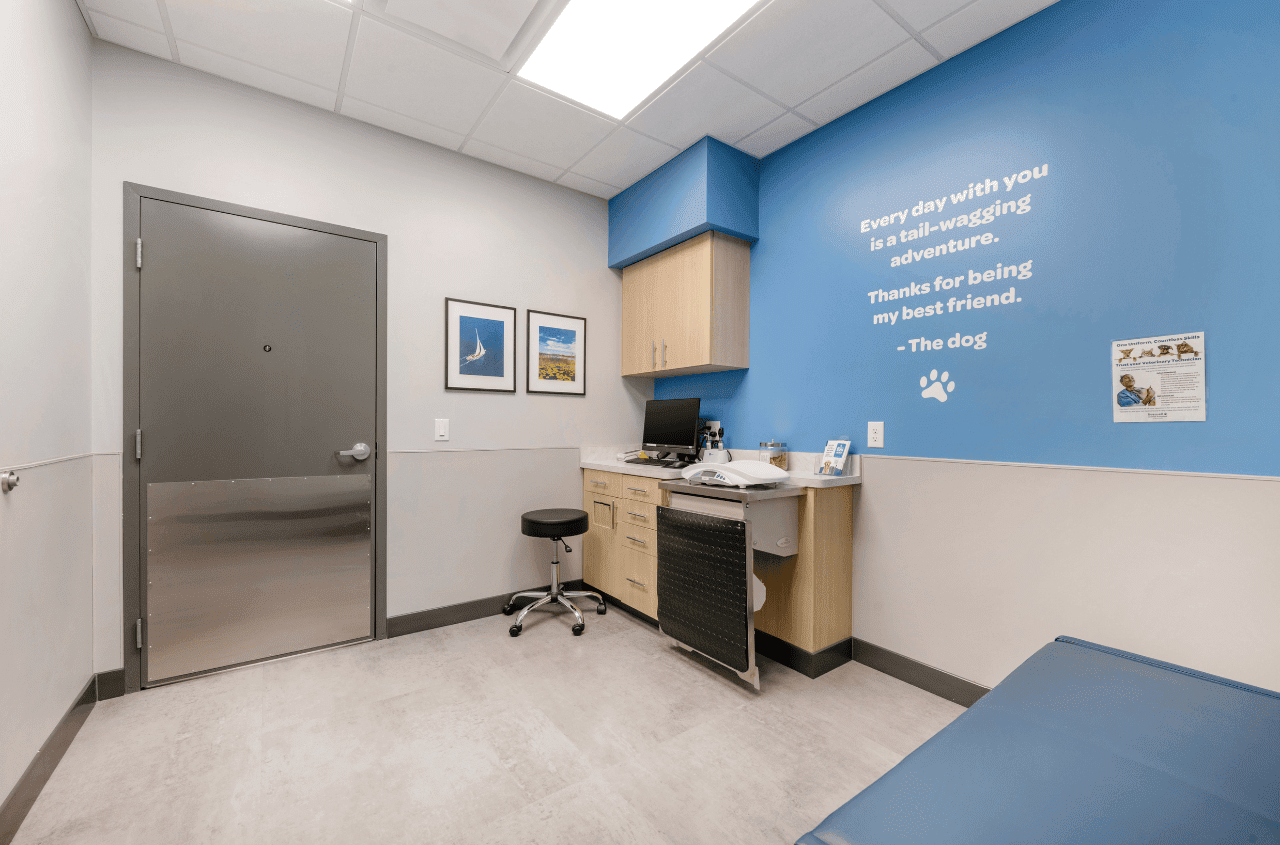 Open and empty exam room for pets when they visit