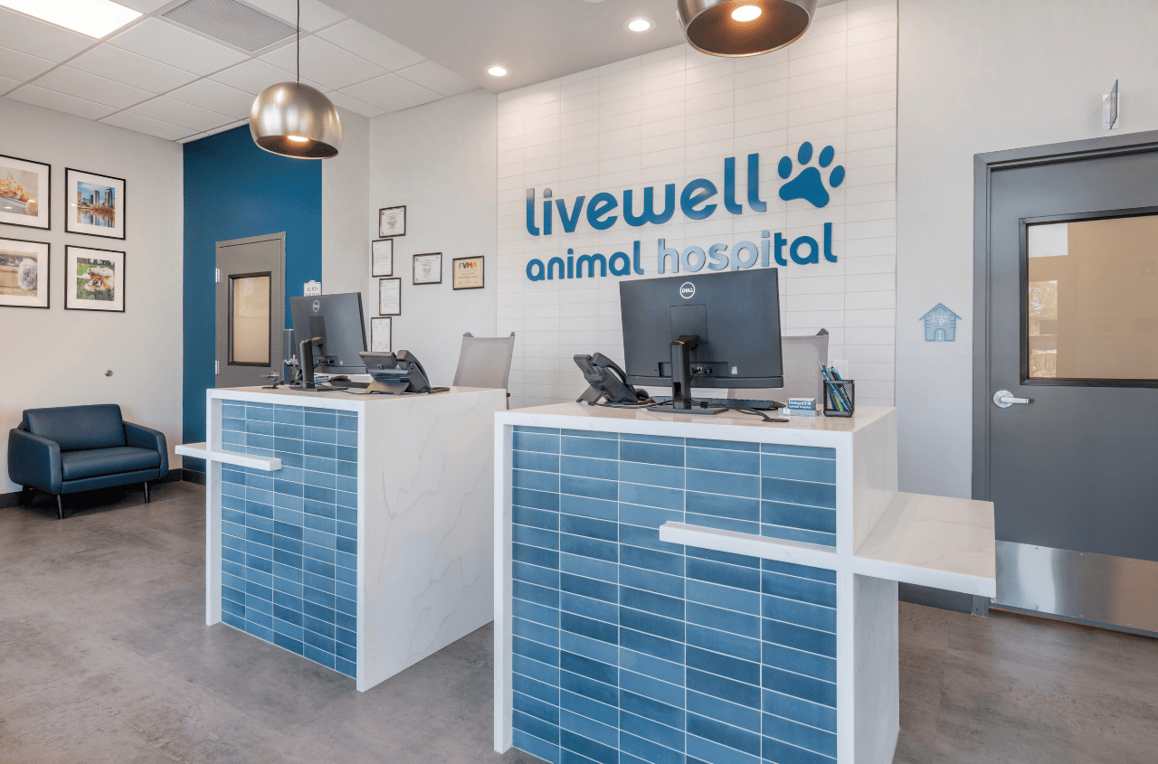 Receptionist area at Livewell Animal Hospital of Riverview