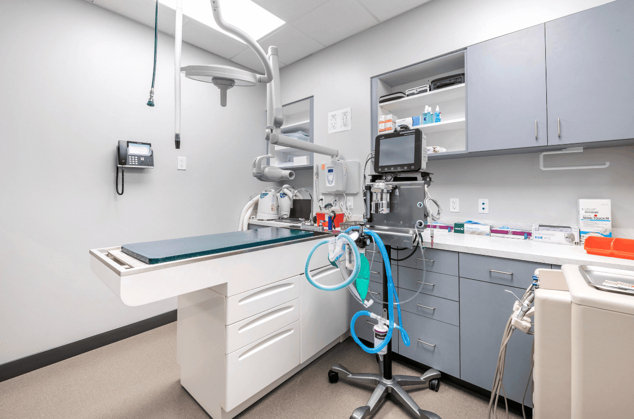 Surgical room with monitors prepared at Livewell Animal Hospital of Riverview