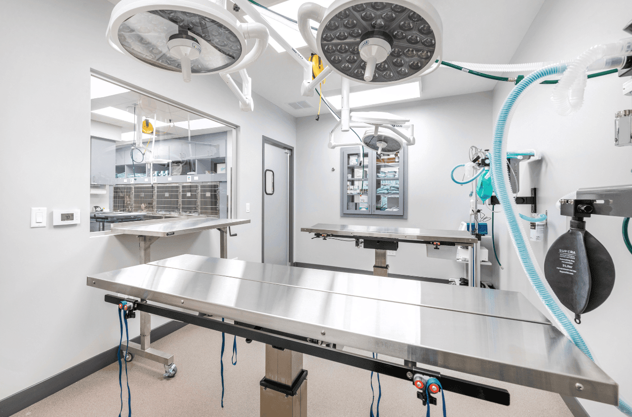 Sterile surgical procedure room at Livewell Animal Hospital of Riverview