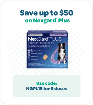 Save up to $50 on Nexgard Plus