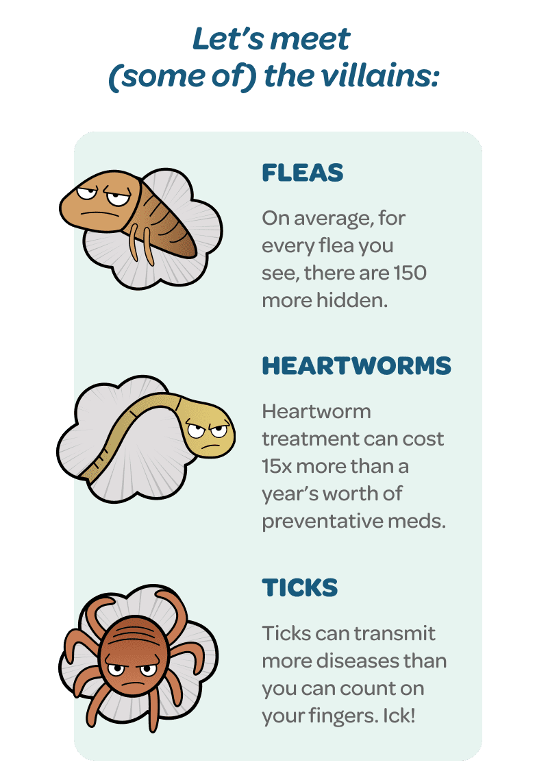 Fleas, Heartworms, and Ticks